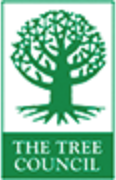 Tree Box Council Box Topiary Ball | Buxus sempervirens | Ornamental Trees
