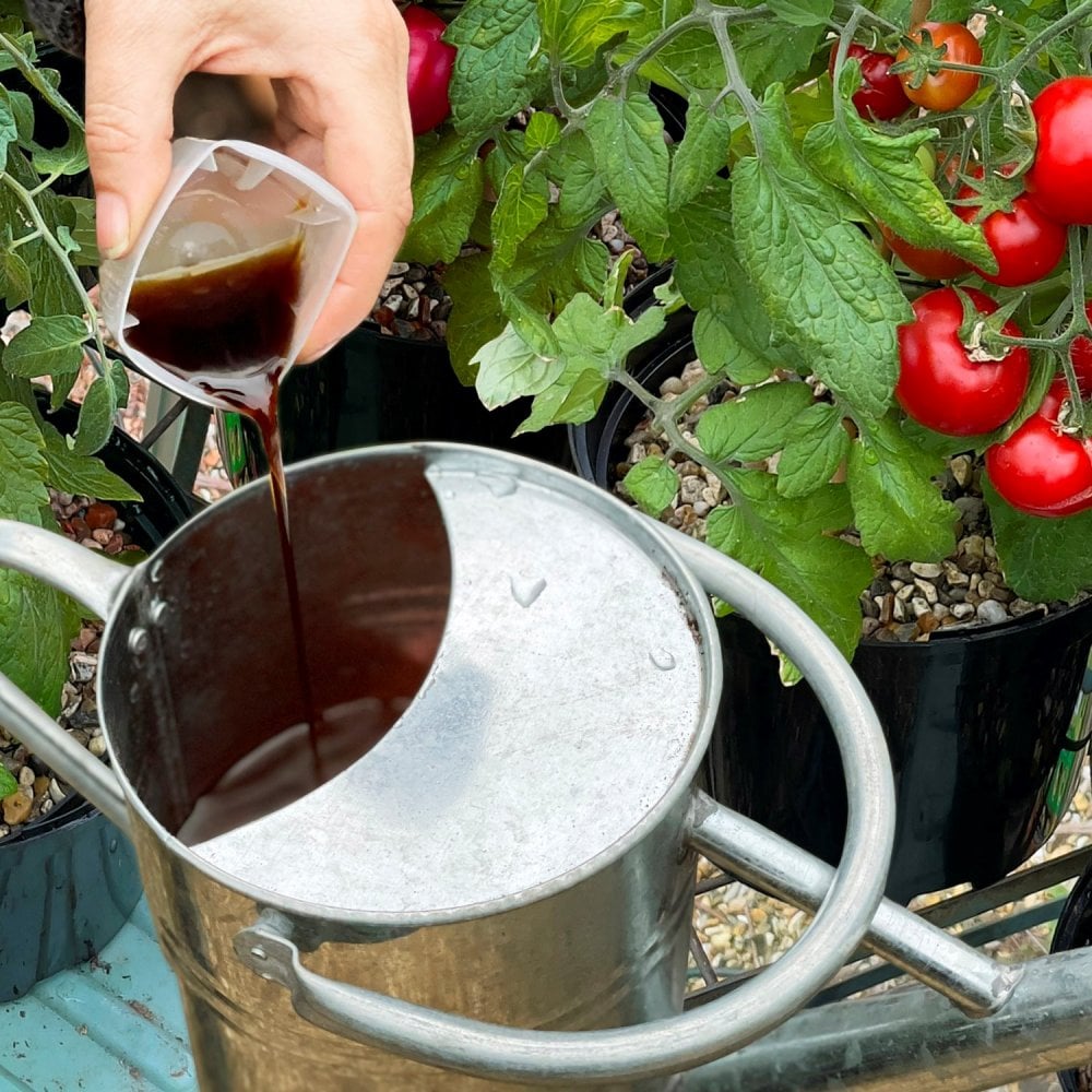 SPÉCIAL POTAGER, CONSOUDE ALGUES 500 ML SPÉCIAL POTAGER, CONSOUDE ALGUES 500 ML