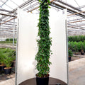 3 canes, 200-250cm, 20L