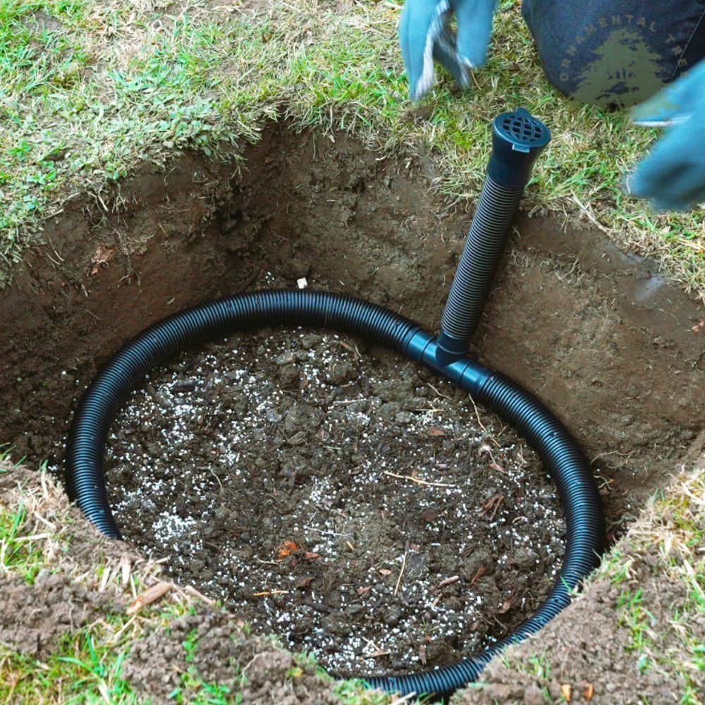 Tree Loop Pipe Installing Drip Systems For Trees Drip Irrigation For Backyard Trees