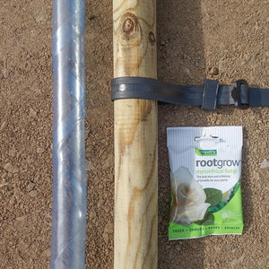 Tree Planting Kit